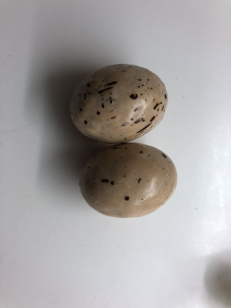 Oeufs caramel fl de sel.jpg