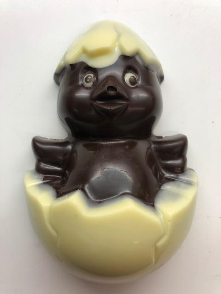 Poussin coqu_ n 1(1)